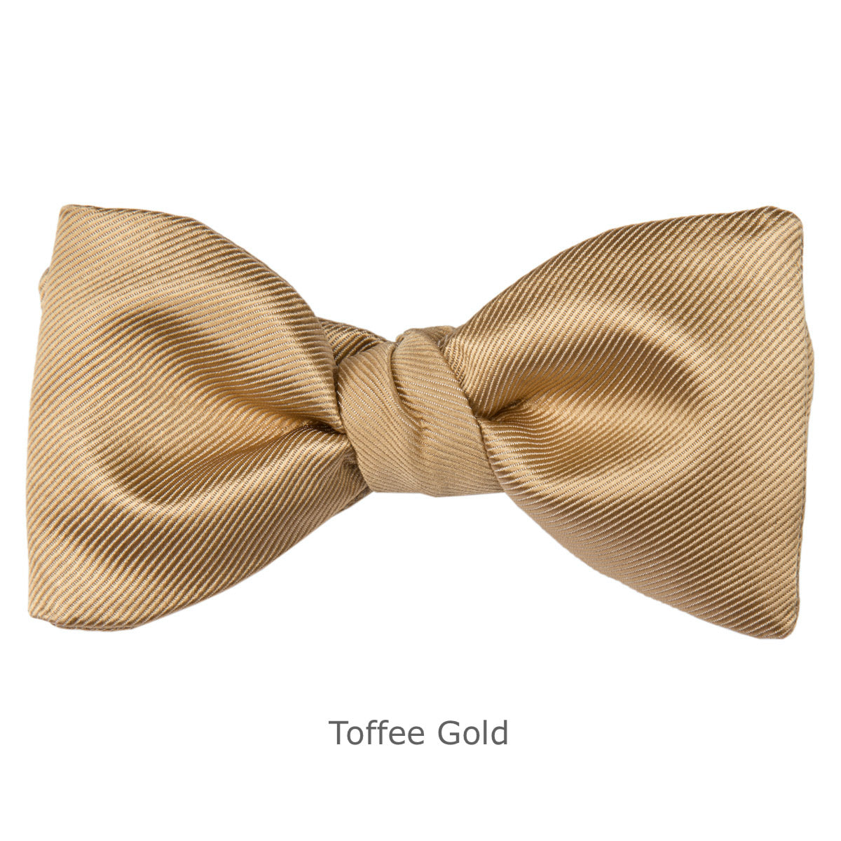 Modern Solid Bow Ties